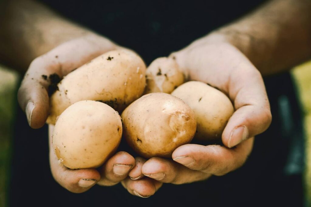 How to Cook a Potato: Skip the Peeler, Master the Skin
