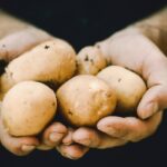 How to Cook a Potato: Skip the Peeler, Master the Skin