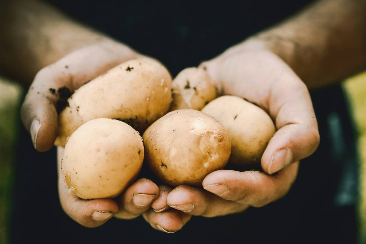How to Cook a Potato: Skip the Peeler, Master the Skin
