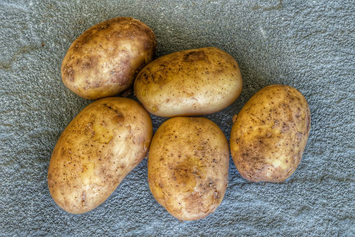 Peeler Blade Material Potato How To: Choose the Right One for Flawless Peel Every Time
