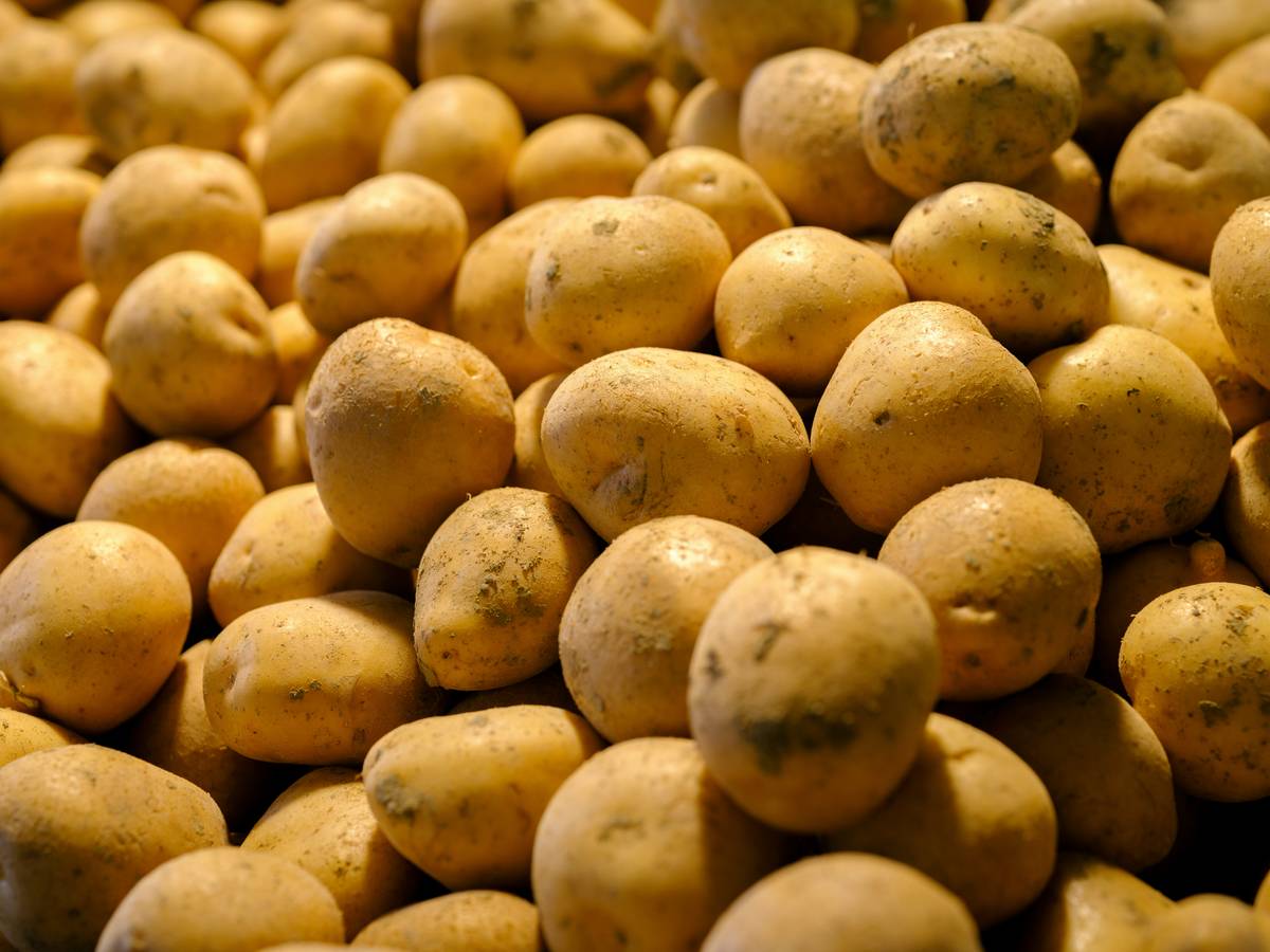 Close-up of sharp vs dull peeler blade affecting peeler safety grip potato how to
